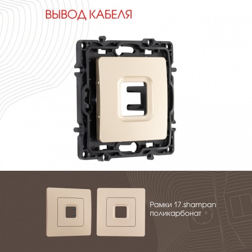 Розетка для вывод кабеля без рамки Arte Milano am-217 217.49-1.shampan в Нижнем Новгороде фото 4