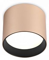 Накладной светильник Ambrella Light TN TN5305 в Нижнем Новгороде