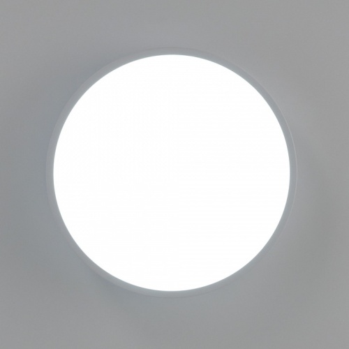 Накладной светильник Citilux Купер CL72424V0 в Зеленогорске фото 10