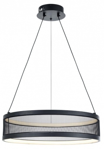 Подвесной светильник Lumion Felisiti 8103/38L в Нижнем Новгороде фото 7