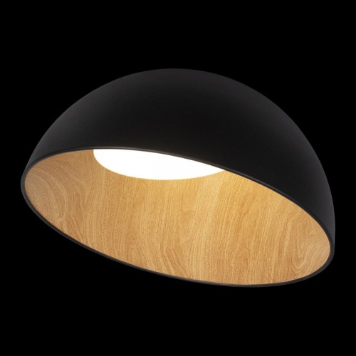 Накладной светильник Loft it Egg 10197/500 Black в Симе фото 3