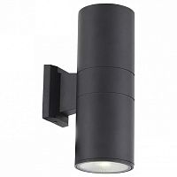 Накладной светильник ST-Luce Tubo 2 SL074.411.02 в Нижнем Новгороде