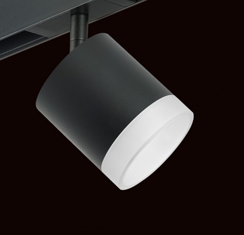 Светильник на штанге Lightstar Rullo PRO348780 в Нижнем Новгороде фото 2