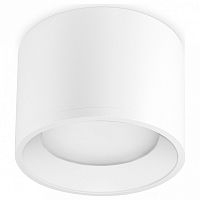 Накладной светильник Ambrella Light TN TN5321 в Нижнем Новгороде