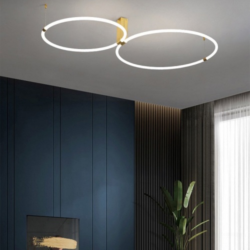 Накладной светильник Imperiumloft Ringmor01 207983-23 в Нижнем Новгороде фото 4