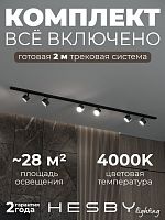 Комплект трековый Hesby Lighting Skylite №13 HSBL_kompl_S013_NI2B4K в Нижнем Новгороде