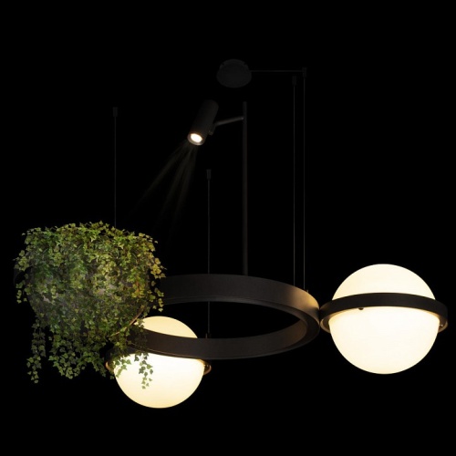 Подвесной светильник Loft it Jardin 10121/2 в Нижнем Новгороде фото 3