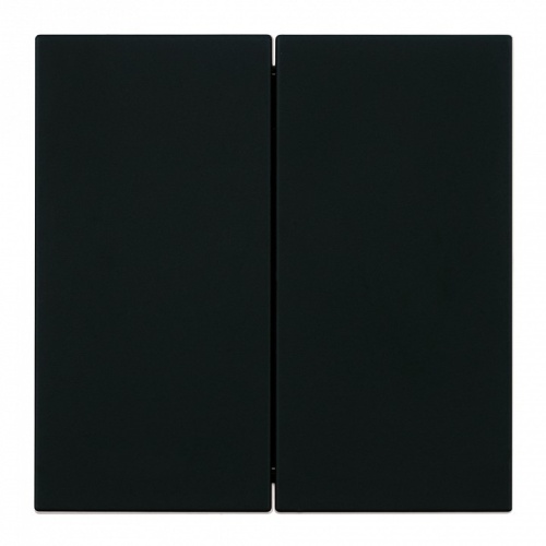 Переключатель двухклавишный без рамки Stekker Мия 50448 в Нижнем Новгороде