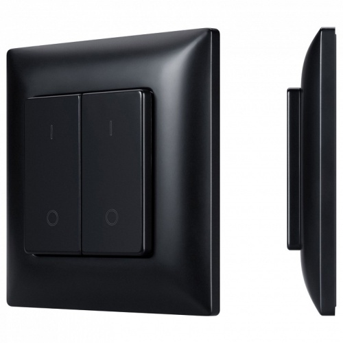 Выключатель двухклавишный Arlight INTELLIGENT 050446 в Нижнем Новгороде