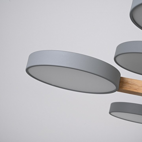 Люстра на штанге Imperiumloft TURNA Gray TURNA-DBL01 в Нижнем Новгороде фото 5