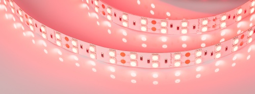 Лента RT 2-5000 24V Red 2x2 (5060, 600 LED, LUX) (Arlight, 26 Вт/м, IP20) в Советске фото 2