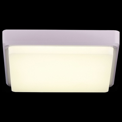 Накладной светильник EVOLUCE Taddio SLE200212-01 в Нижнем Новгороде фото 3