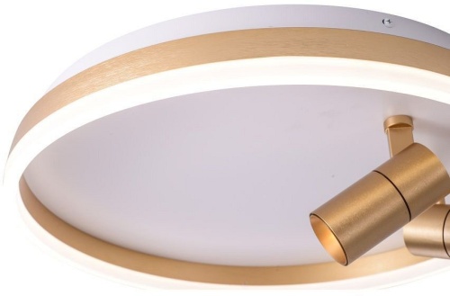 Накладной светильник Zortes Raizy ZRS.1888.02 в Нижнем Новгороде фото 4