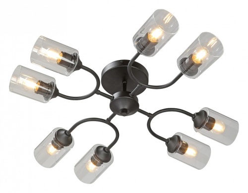 Потолочная люстра Vitaluce V2822 V2822-1/8PL в Нижнем Новгороде