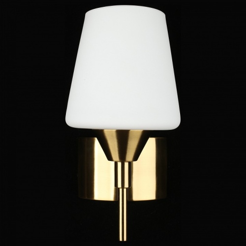 Бра Aployt Lyus APL.840.01.01 в Нижнем Новгороде фото 3