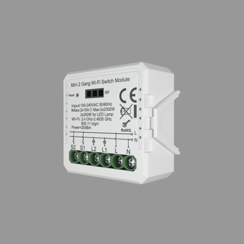 RL1002-SM Двухканальное Wi-Fi реле-выключатель 2 x 2300 Вт / 2 x 250 Вт для LED в Богучаре