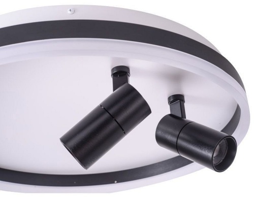 Накладной светильник Zortes Raizy ZRS.1888.01 в Нижнем Новгороде фото 4