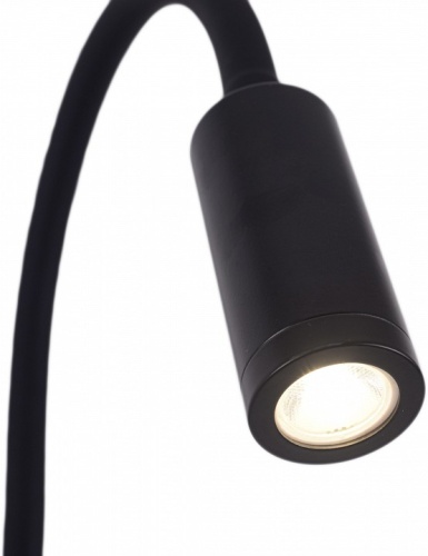 Бра Zortes Nikky ZRS.19108.3 в Нижнем Новгороде фото 3