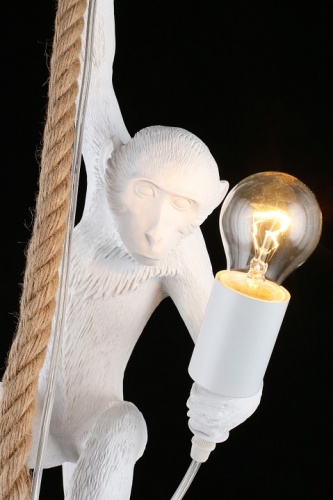 Подвесной светильник Aployt Magali APL.309.06.01 в Нижнем Новгороде фото 2