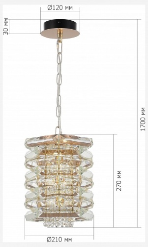 Подвесной светильник ST-Luce STROZZI SL6137.203.01 в Нижнем Новгороде фото 5