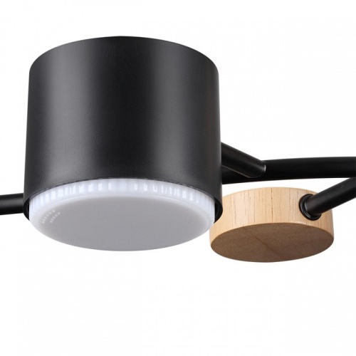 Потолочная люстра Lumion Crypto 8194/5C в Нижнем Новгороде фото 3