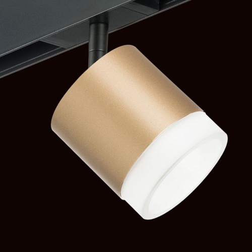 Светильник на штанге Lightstar Rullo PRO349080 в Нижнем Новгороде фото 2