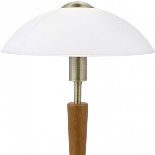 Настольная лампа декоративная Eglo Solo 1 87256 в Нижнем Новгороде фото 4