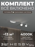 Комплект трековый Hesby Lighting Skylite №14 HSBL_kompl_S014_VI1W4K в Нижнем Новгороде
