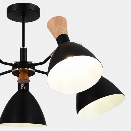 Люстра на штанге EVOLUCE VISTA SLE1256-402-05 в Нижнем Новгороде фото 5