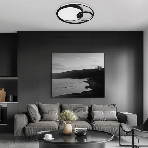 Накладной светильник Eurosvet Jeremy 90254/1 черный в Нижнем Новгороде фото 2