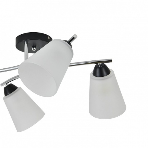 Потолочная люстра Escada Lavatera 2132/4P в Нижнем Новгороде фото 3