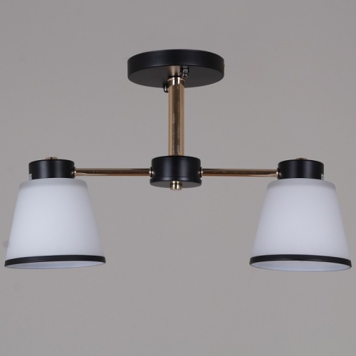 Светильник на штанге  30560-0.3-02 BK+FG в Нижнем Новгороде фото 3