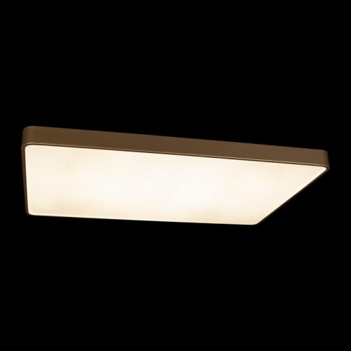 Накладной светильник Loft it Flims 10228/E в Тюмени фото 2