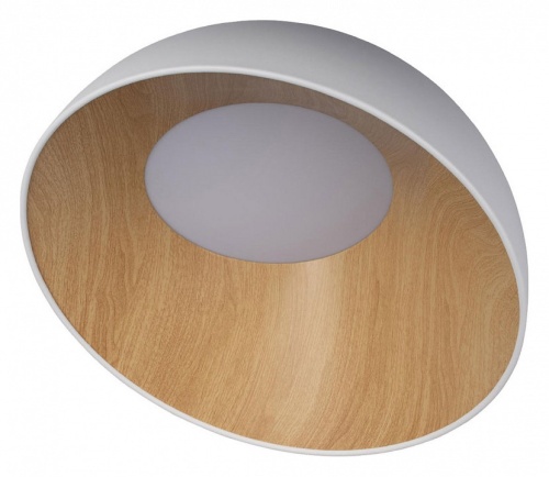 Накладной светильник Loft it Egg 10197/500 White в Белово фото 2