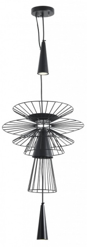 Подвесной светильник Favourite Ardor 4838-2P в Нижнем Новгороде