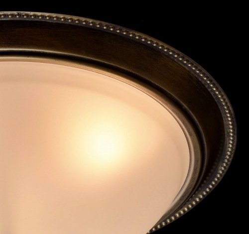 Накладной светильник MW-Light Ариадна 450015503 в Нижнем Новгороде фото 5