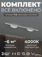 Комплект трековый Hesby Lighting №1 однофазная накладная Skylite HSBL_kompl_S001_NI1W4K в Нижнем Новгороде