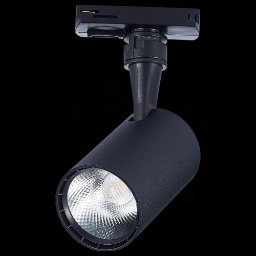 Светильник на штанге ST-Luce Cami ST351.436.10.36 в Нижнем Новгороде фото 2