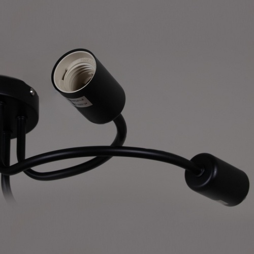 Потолочная люстра 01742-0.3-06 BK в Нижнем Новгороде фото 2