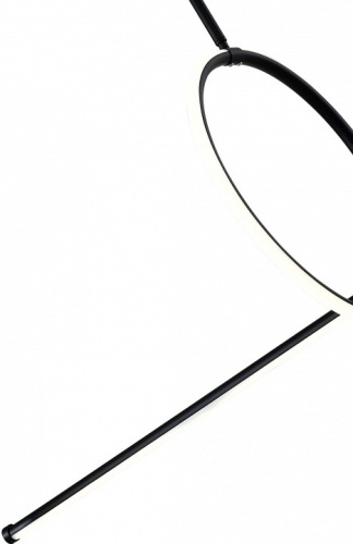 Светильник на штанге Zortes Dasy ZRS.57787.49 в Нижнем Новгороде фото 4