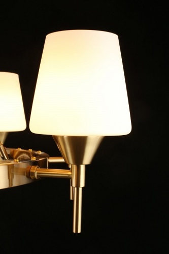 Подвесная люстра Aployt Lyus APL.840.03.08 в Нижнем Новгороде фото 2