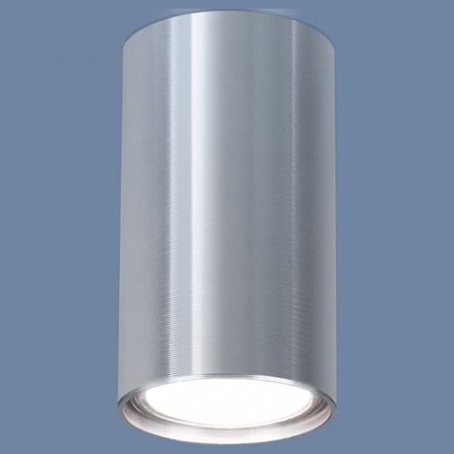 Накладной светильник Elektrostandard 1081 a038491 в Нижнем Новгороде