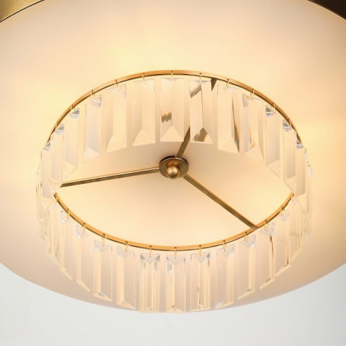 Подвесной светильник Rivoli Vickie Б0061902 в Нижнем Новгороде фото 9