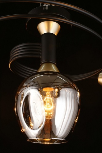 Потолочная люстра Aployt Flor APL.611.17.06 в Нижнем Новгороде фото 6