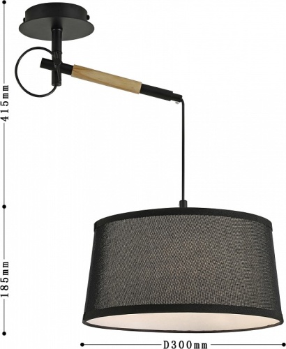 Светильник на штанге F-promo Eureka 3006-1P в Нижнем Новгороде фото 2