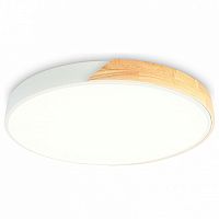 Накладной светильник Ambrella Light FZ FZ1300 в Нижнем Новгороде