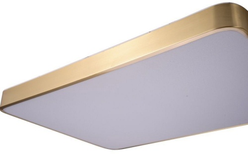 Накладной светильник Zortes Monna ZRS.1209.09 в Нижнем Новгороде фото 6