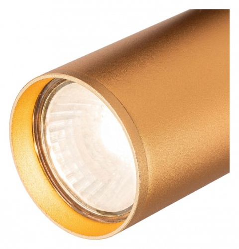 Светильник на штанге Escada 20001 20001TRA/01 BR в Нижнем Новгороде фото 2