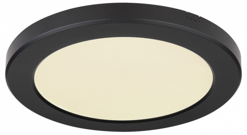 Накладной светильник Globo Lasse 12379-18B в Нижнем Новгороде