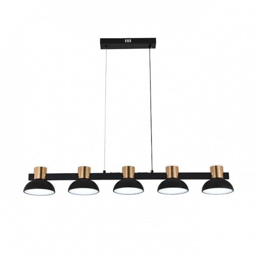 Подвесной светильник Indigo Traforo 11059/5PL Black в Нижнем Новгороде фото 5